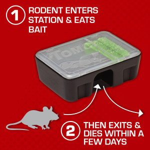 Plastic PP Rodent Control Station Mouse Bait Box with Key - China Mouse  Bait Box and Mice Bait Station price