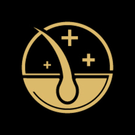 Healthy skin and coat icon